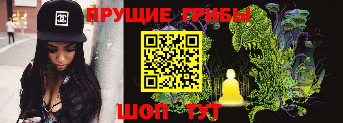 Галлюциногенные грибы Psilocybe  где купить наркоту  Галлюциногенные грибы GOLDEN TEACHER  Тулун  Вход с VPN 